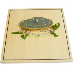 Puzzle - Szkielet żółwia