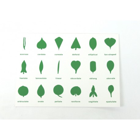 Instrukcja do szafki botanicznej